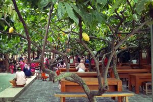 Kampung-Coklat-Blitar-Nathania-Wirawan